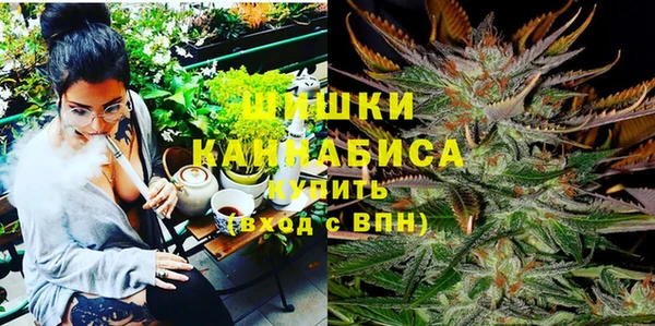 spice Горнозаводск