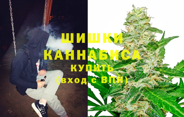 spice Горнозаводск